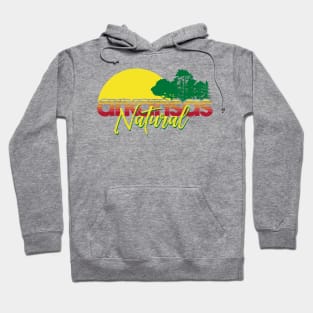 Arkansas Natural Hoodie